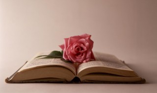 霸气人生语录写给自己 霸气人生语录写给自己8个字