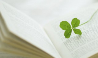 经典有哲理的人生语录（最经典的人生哲理语录）