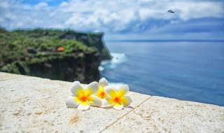 豁达人生语录经典句子 豁达人生语录经典句子短句