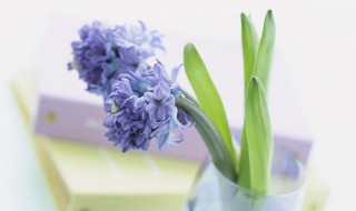 情感哲理人生语录 人生情感哲理的句子经典