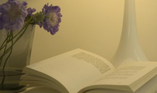 励志人生语句 励志人生语句经典语录