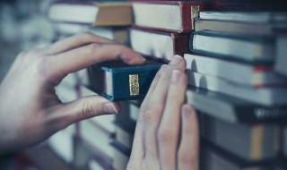 真实的人生语录 真实的人生语录图片