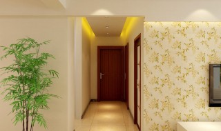 家里进门摆什么风水好（家里进门摆什么风水好呢）