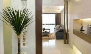 刚进门放什么风水比较好（一进门放什么风水好）