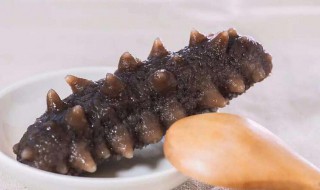 吃海参的功效与作用是哪些（吃海参的功效与作用是哪些呢）