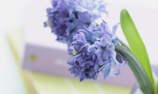 一句正能量的话唯美 最美一句话 正能量