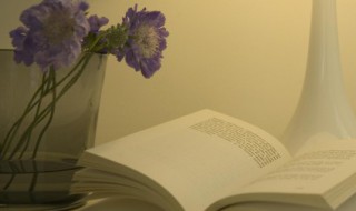 一句正能量的话能感染一天 被正能量感染的句子