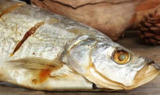 白鱼膘的功效与作用（白鱼膘的功效与作用禁忌）