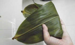 打开的粽子叶怎么保存（包粽子叶怎么保存）
