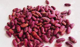 花芸豆的储存方法（花芸豆怎么保存）