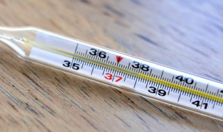 什么东西越热爬得越高 什么东西越热爬得越高3D字谜