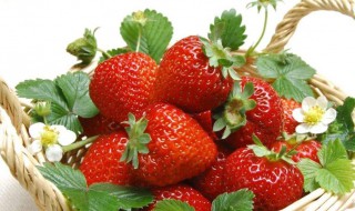 每天吃什么可以美白皮肤 每天吃什么可以美白皮肤呢