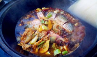 跟鱼相克的食物有哪些（什么食物和鱼相生相克）