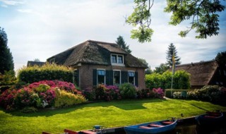 家里黄蜂窝预示什么风水（家中有黄蜂窝在风水来讲好吗）