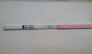 排卵试纸怎么用 排卵试纸怎么用最准确卵泡怎么测