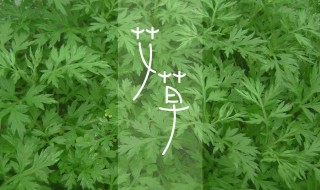 艾叶洗脸有什么好处（用艾叶洗脸好吗）