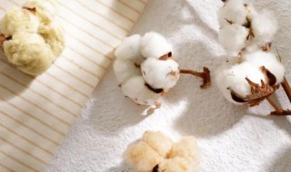 棉花是怎么做成衣服的全部过程（棉花是怎么做成衣服的全部过程图片）