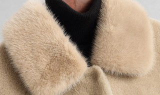 貂如何清洗（貂脏了后自己如何清洗）