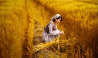 麦田拍照如何摆姿势（麦田拍照如何摆姿势的）