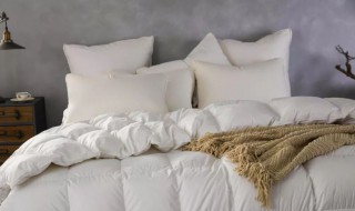 羊毛被如何清洗（羊毛被如何清洗保养）