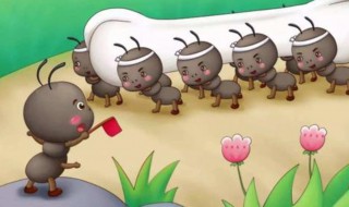 蚂蚁怎么去除（家里的蚂蚁怎么去除）