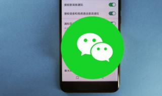 苹果怎么微信双开（苹果双开微信）