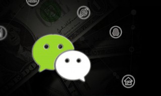 微信删除怎么找回（微信删除怎么找回好友）