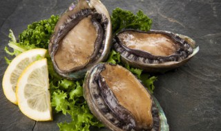 活鲍鱼的清洗及做法 活鲍鱼的清洗及做法视频