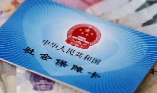 社保自己交怎么交（社保自己交怎么交啊）