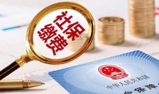 社保怎么缴纳（社保怎么缴纳最划算）