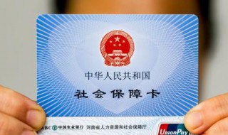 个人社保编号怎么查 个人社保编号怎么查询有几位数