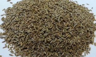 孜然怎么吃 孜然怎么吃下奶