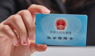 社保怎么查询个人账户 深圳社保怎么查询个人账户