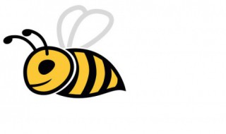 蜜蜂分家怎么处理（蜜蜂分家怎么处理好）