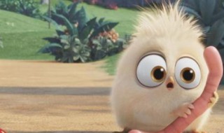 蚯蚓怎么吃（蚯蚓怎么吃东西）