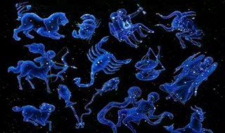 十二星座的守护花 十二星座的守护花仙精灵王是谁