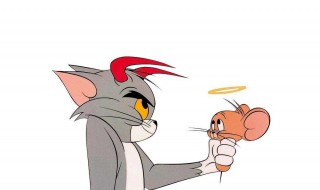 最有效的家庭灭鼠方法 家庭如何有效灭鼠