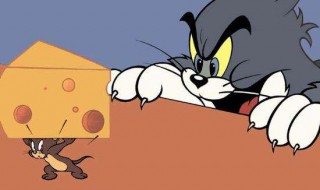 屋里喷什么能驱赶老鼠? 屋里喷什么能驱赶老鼠?狗狗行吗