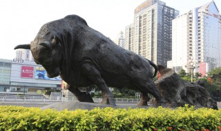 深圳特区拓荒牛精神（深圳开荒牛精神）