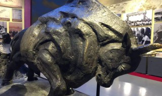 深圳特区拓荒牛是谁（深圳特区拓荒牛图片）