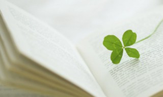 一句正能量的话工作（工作中正能量的一句话）