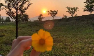 朋友圈三观正的说说（朋友圈三观正的句子）