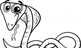 被毒蛇咬了怎么办 野外被毒蛇咬了怎么办