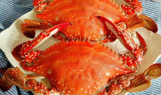 吃梭子蟹的禁忌（吃梭子蟹的禁忌的食物是什么）