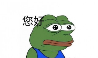 孤寡青蛙是什么