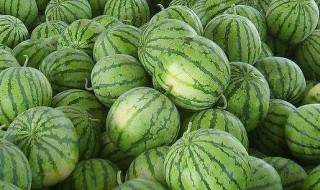 减肥不宜吃西瓜吗 减肥不宜吃西瓜吗