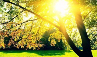 被太阳晒红了怎么办（太阳下晒红了怎么办）