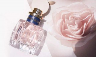 七夕直男送礼指南 直男送的七夕礼物