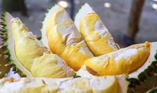 榴莲剥开没熟怎么办 榴莲剥开没熟怎么办视频