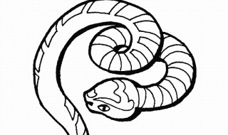 家里进蛇怎么办（家里进蛇怎么办?在线等,急!!!?）